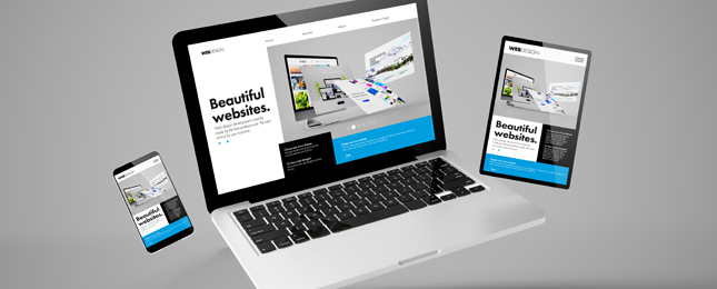 web tasarım